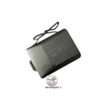 دزدگیر معمولی گلدن بت